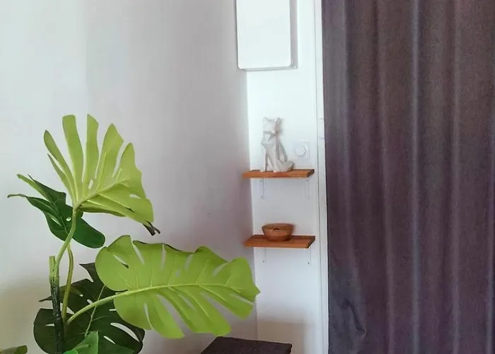 27m With Terrace - First Row Sea View Apartment